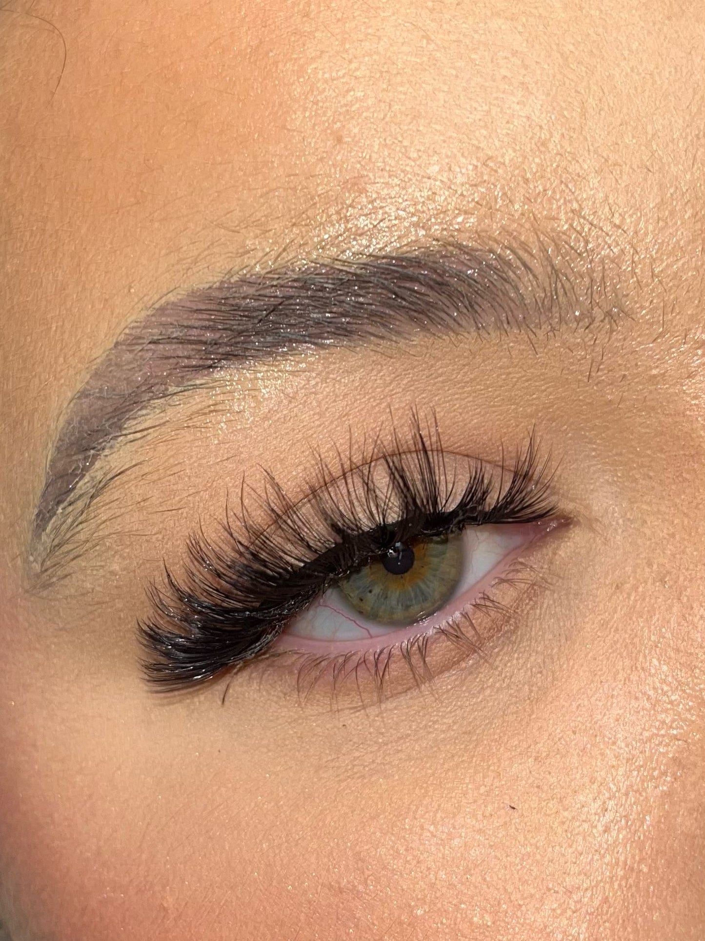 Mini Mae lash (Amber collection)