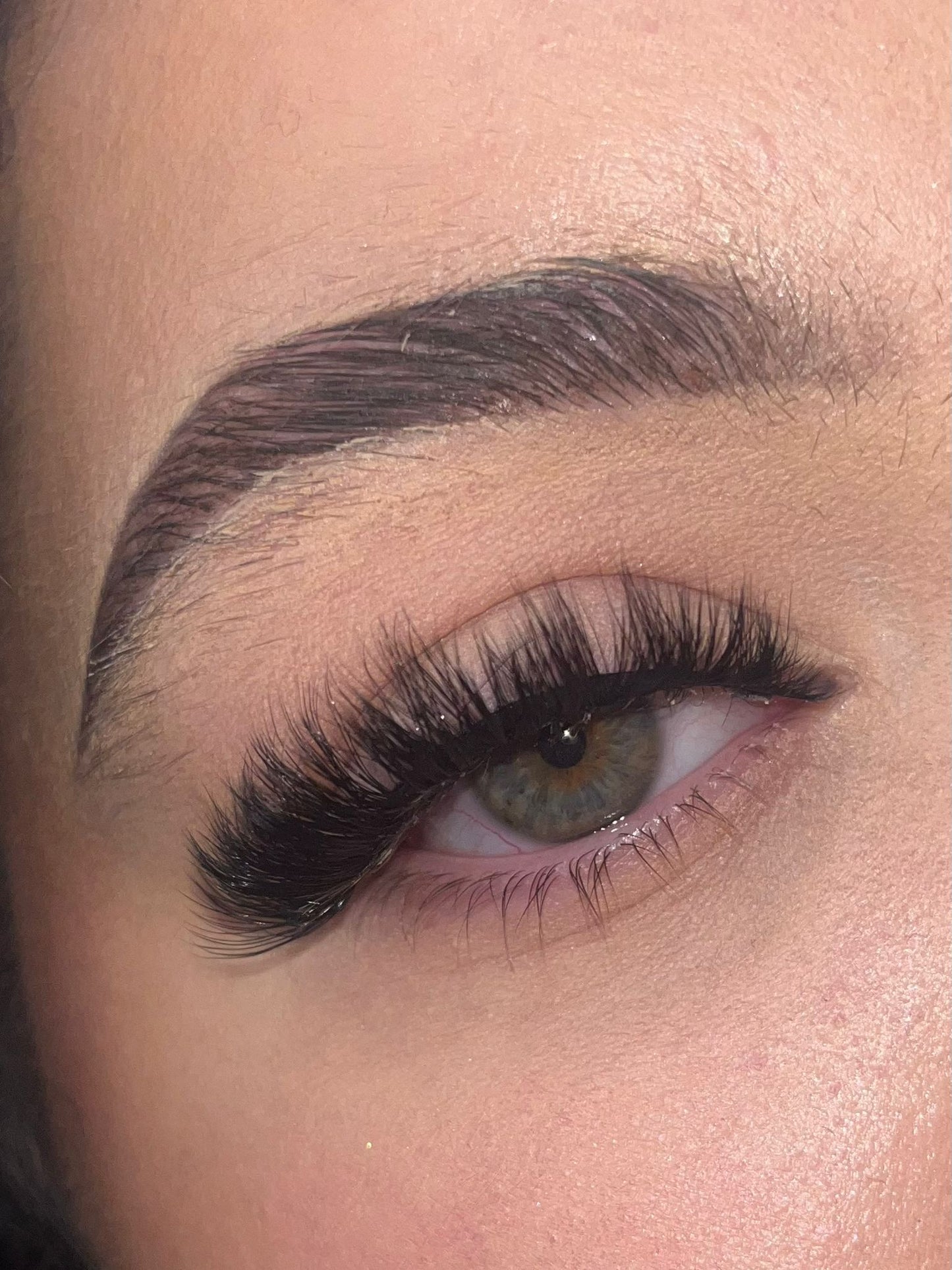 2023 lash