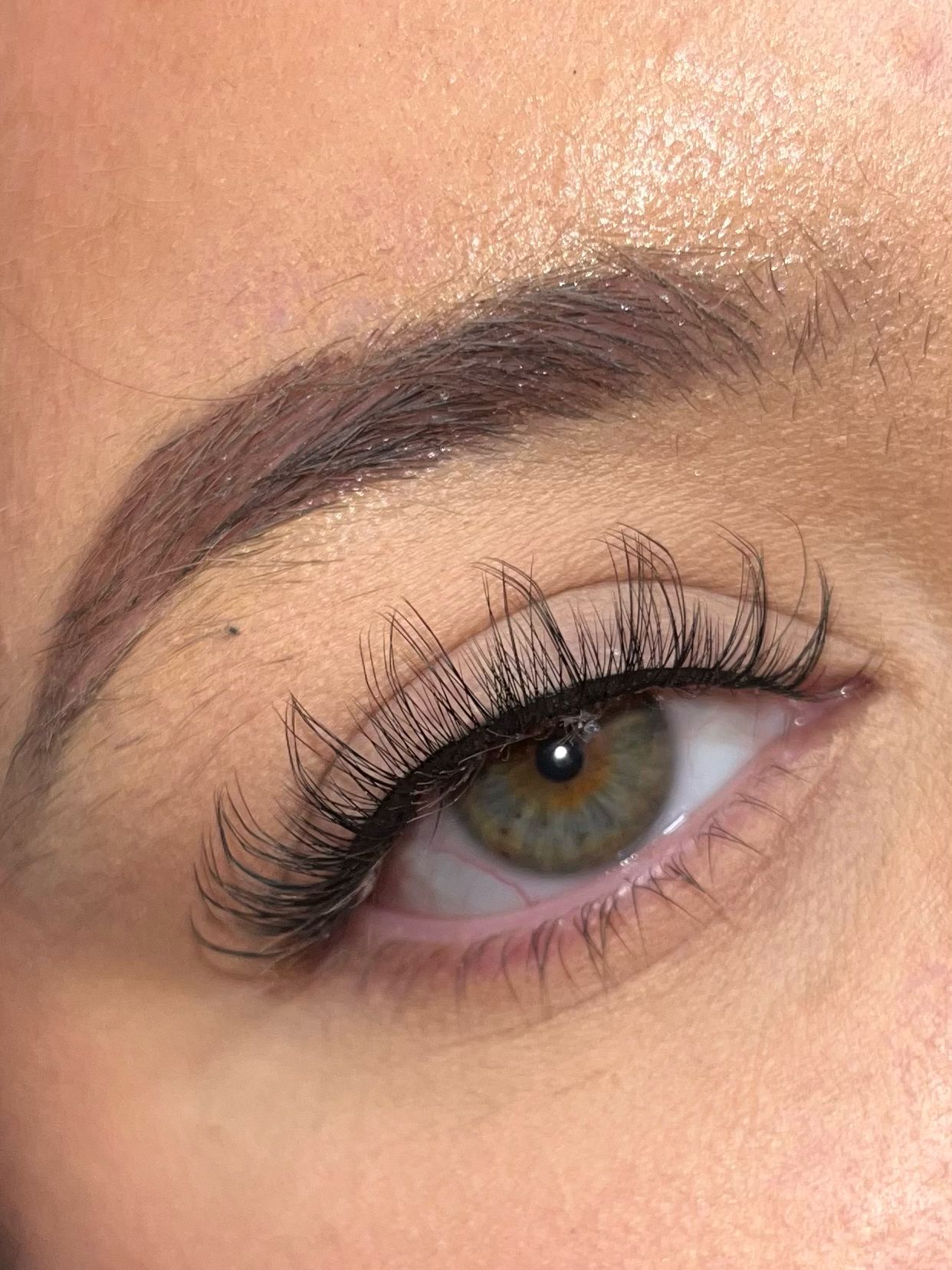 Turkey Lash (Purple Collection)