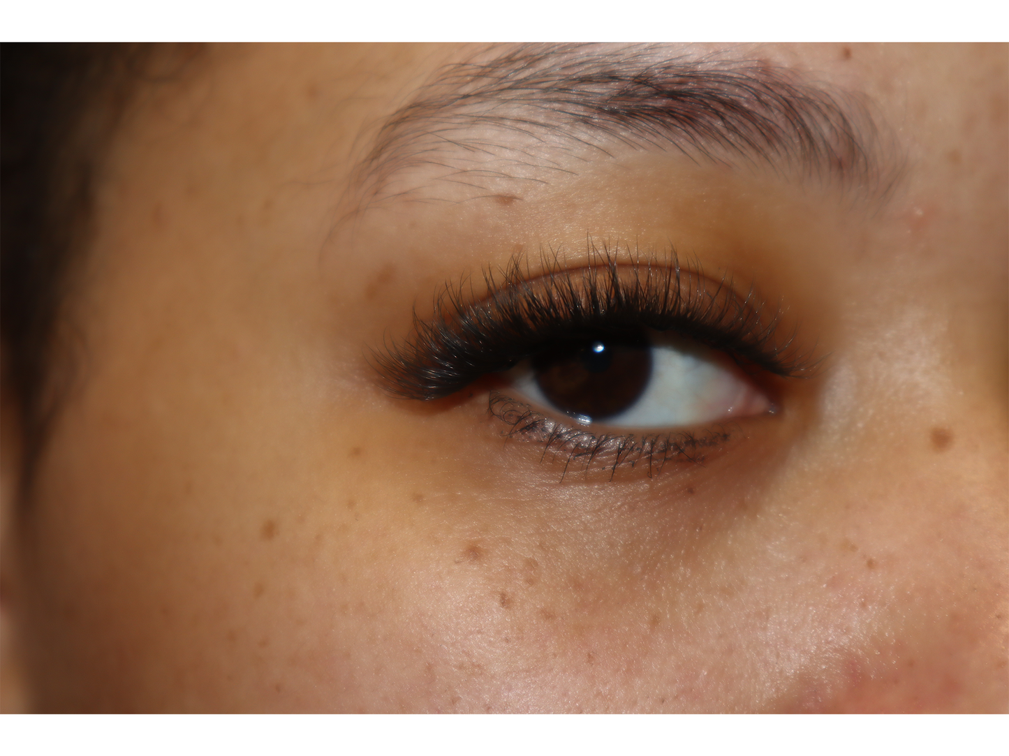 Treaty Lash (White Collection)