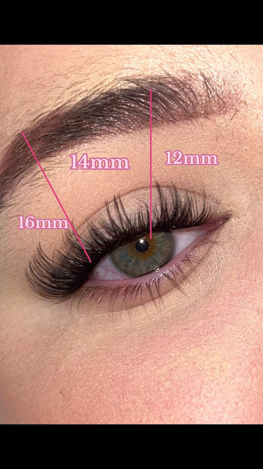 Serviette Clusters (LASHES ONLY)
