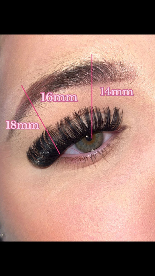 Night Fever Cluster Lashes (LASHES ONLY)