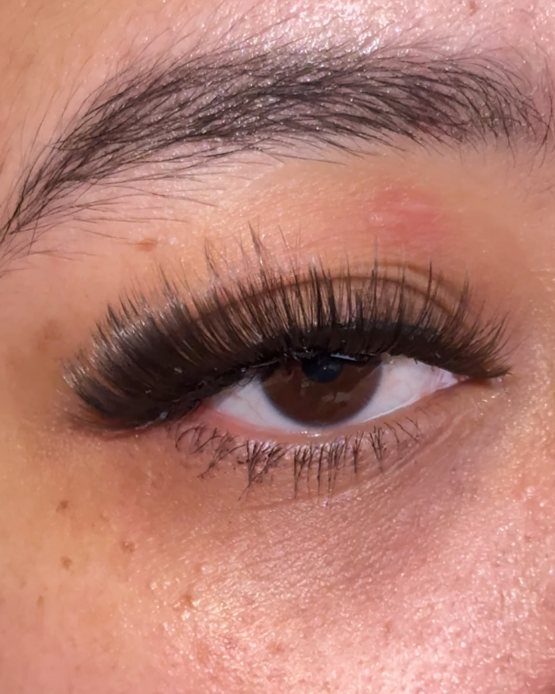Baby Doll Strip Lash