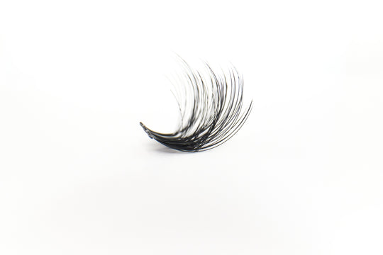 Lover XL Clusters (LASHES ONLY)