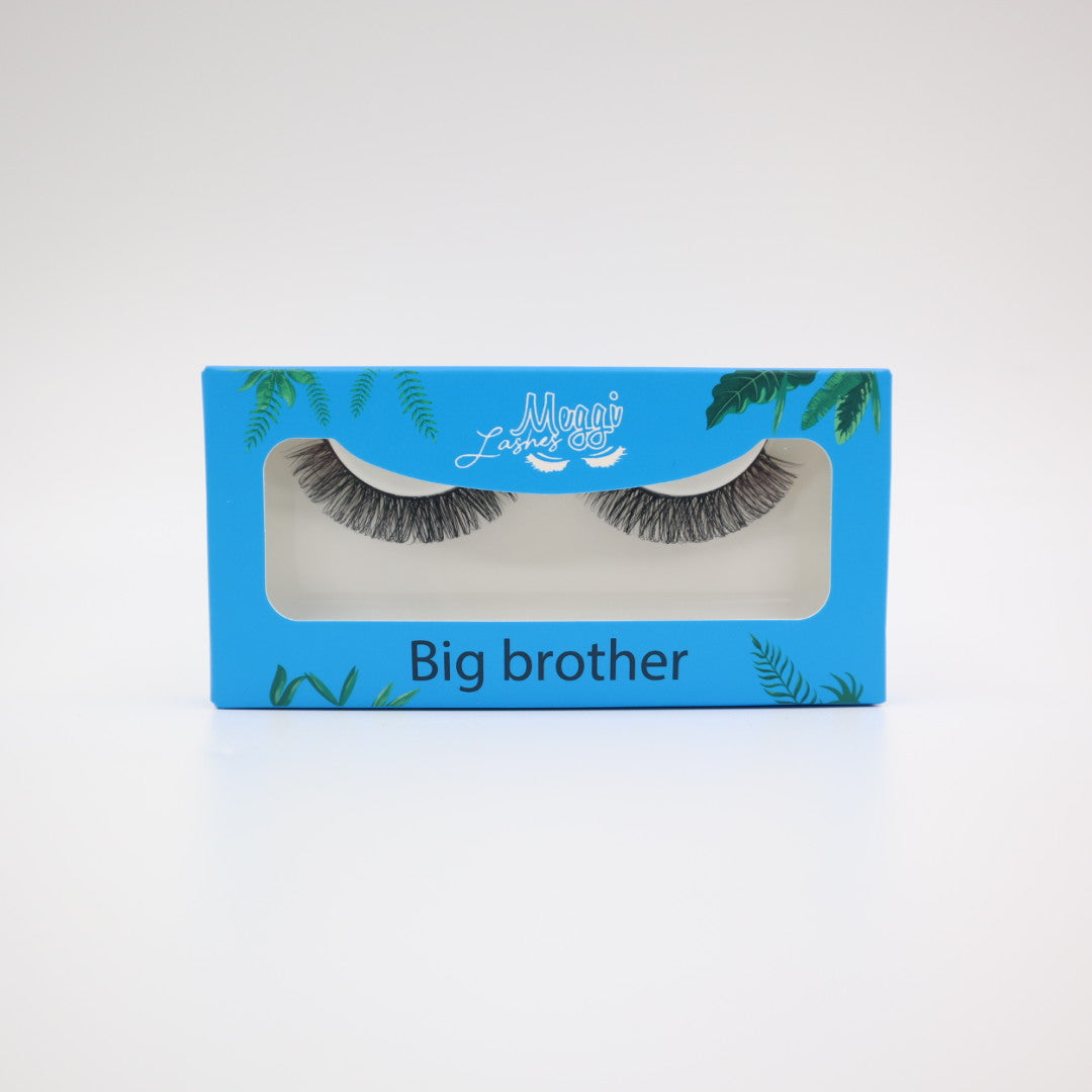 Big Brother Lash (DJ collection)